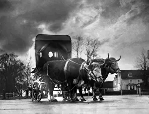 00068 Gallery: A scene on the Arterial Road to Southhend. 'The Atora'. December 1934 P000685