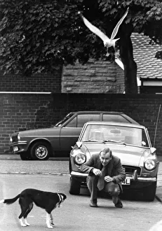00047 Gallery: This Seagull and dog both have good taste, they don t like reporters