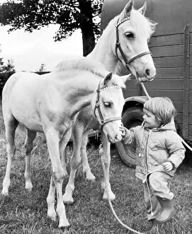 Images Dated 10th August 1974: Sedgefield Agricultural Show. Two year old Tracy Herron of Sedgefield looking after her