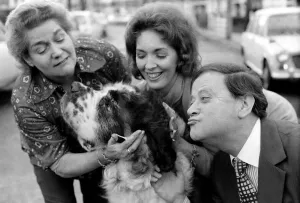 Shane the St. Bernard dog with Derek Roy, Britains biggest dog goes into showbiz Shane the St. Bernard dog with Derek Roy, Britains biggest dog goes into showbiz