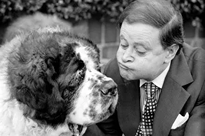 Shane the St. Bernard dog with Derek Roy, Britains biggest dog goes into showbiz Shane the St. Bernard dog with Derek Roy, Britains biggest dog goes into showbiz