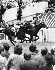 Shirley Heights Racehorse ridden by jockey Grenville Starkey winning the 199th Derby at Shirley Heights Racehorse ridden by jockey Grenville Starkey winning the 199th Derby at
