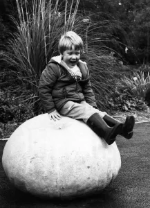 Sitting Pretty. Matthew McLean and the record-breaking pumpkin. October 1981 P006540 Sitting Pretty. Matthew McLean and the record-breaking pumpkin. October 1981 P006540