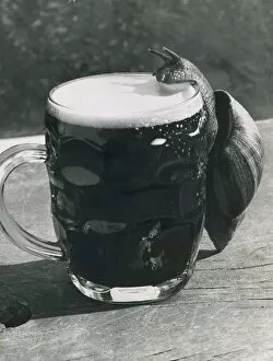 A snail climbs up the side of a pint glass to drink lager from the pitcher!