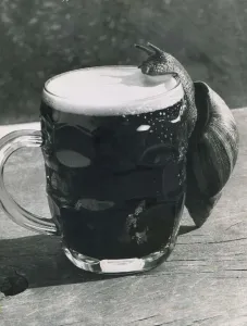 A snail climbs up the side of a pint glass to drink lager from the pitcher! A snail climbs up the side of a pint glass to drink lager from the pitcher!