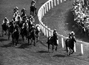 Snow Knight leading the pack and goes on to win The Derby followed by Imperial Prince