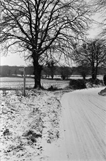 Images Dated 14th January 1987: Snow scenes in Heckfield. January 1987.Snow scenes in Heckfield. 14th January 1987