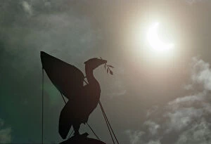 Images Dated 11th August 1999: The solar eclipse pictured behind the Silhouette of the Liver Bird on a tower of