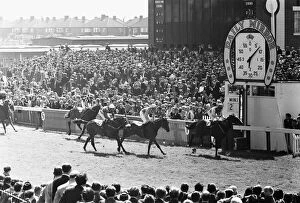 Song of the Sea ridden by Willie Carson crossing the line to win the 1971 Andy Capp