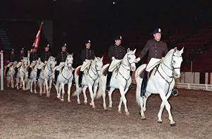 Images Dated 11th October 1989: The Spanish Riding School rehearsing for their opening night at Wembley