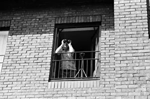 A spectator watching Princess Diana visiting the Boyd Court Guinness Trust Housing Estate A spectator watching Princess Diana visiting the Boyd Court Guinness Trust Housing Estate
