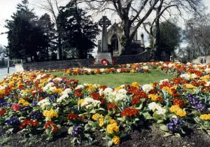 Spring flowers around a war memorial outside St Andrews church, Haughton Spring flowers around a war memorial outside St Andrews church, Haughton