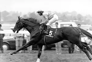 Images Dated 10th July 1989: SPT. Horse Racing, Race Horses iNI. July 1989 P000036