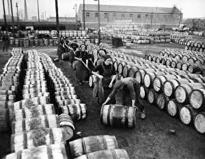 Stacking barrels of herrings in the filling yards at Yarmouth, Norfolk Stacking barrels of herrings in the filling yards at Yarmouth, Norfolk