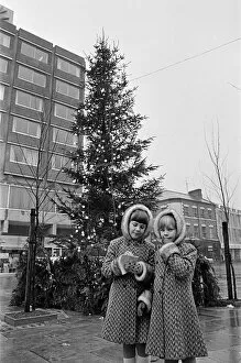 Images Dated 1st November 1973: Stockton Christmas tree lights on. 1973