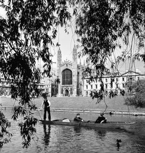 Weeping Willow Gallery: Students punt along the 'The Backs', on the Cam River, Cambridge