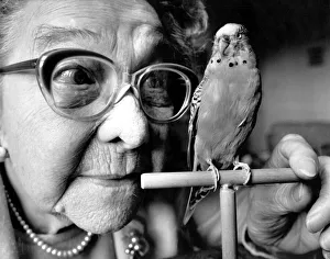 Stuffed budgie Sparkie Williams with his former owner Mrs Mattie Williams Stuffed budgie Sparkie Williams with his former owner Mrs Mattie Williams