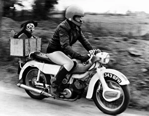 Images Dated 27th November 1980: Sue Maddock 21 and her dog Moth who she transports around in the pillion box on her