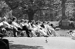 Images Dated 1st June 1985: Summer Pics, Forbury Gardens, Public Park, Reading, Berkshire, June 1985