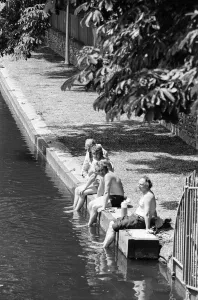 Images Dated 1st June 1985: Summer Pics, Forbury Gardens, Public Park, Reading, Berkshire, June 1985