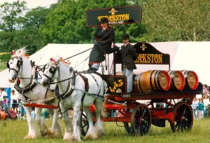 The Theadston Brewery wagon pulled by two Shirehorses at a local show in 1994 The Theadston Brewery wagon pulled by two Shirehorses at a local show in 1994