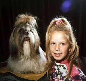 A Tibetan Lion Dog called Daphne with a young girl October 1972 A Tibetan Lion Dog called Daphne with a young girl October 1972