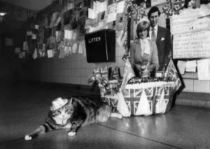 Tiddles at Paddington. Tiddles shows the flag. If a cat can look at a Queen Tiddles here Tiddles at Paddington. Tiddles shows the flag. If a cat can look at a Queen Tiddles here