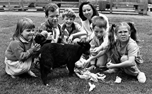 Knowsley Gallery: 'Tiny'the pygmy goat was an instant success when 800 children paid a visit to
