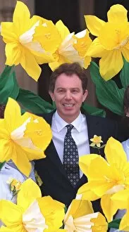 Images Dated 11th March 1997: Tony Blair at the launch of 1997 Marie Curie Cancer Care Daffodil Campaign at the House