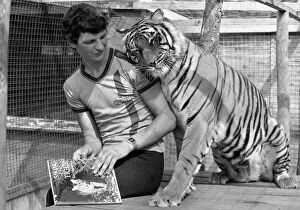 Trainee zoo keeper Keith Farrell face to face with a tiger August 1981