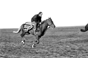Trainer Peter Walwyn with his horse Grundy pictured at his Lambourne (Berks) stables Trainer Peter Walwyn with his horse Grundy pictured at his Lambourne (Berks) stables