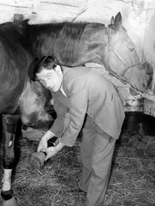 00192 Gallery: Trainer slips on the 'boots'that stop a valuable horse from kicking its own