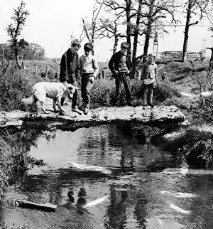 A typical scene at Kirkby - boys making their way across an old tree tree trunk which A typical scene at Kirkby - boys making their way across an old tree tree trunk which