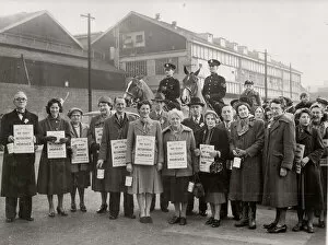 Not Personality Gallery: Volunteers from the Friends of Bristol Horses Society ( now HorseWorld