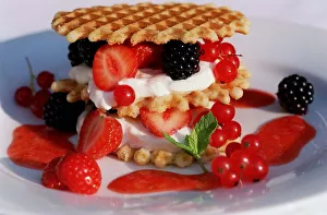 Waffle Towers with Greek Yogurt and Fruit September 1999 Waffle Towers with Greek Yogurt and Fruit September 1999