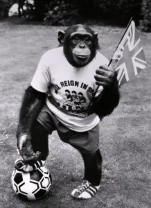 Watch out fans, World Cup Louis is kitted up and ready for action Watch out fans, World Cup Louis is kitted up and ready for action