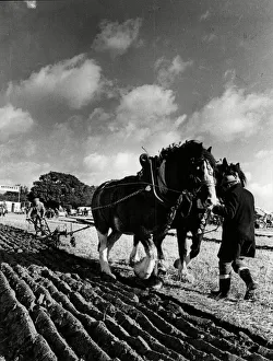 West Hallam Ploughing competition 15th October 1981 West Hallam Ploughing competition 15th October 1981