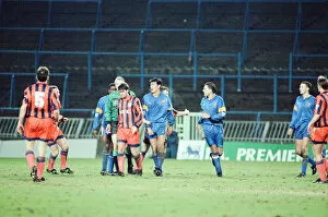 Images Dated 26th January 1993: Wimbledon 1-3 Everton, League match at Selhurst Park, Tuesday 26th January 1993