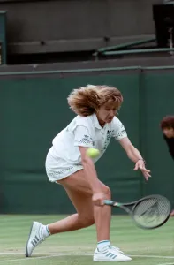 Wimbledon Tennis. Graf v. Fernandez. June 1988 88-3442-004 Wimbledon Tennis. Graf v. Fernandez. June 1988 88-3442-004