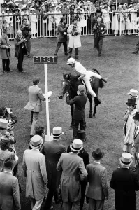 Winner of the Ascot Gold Cup, four year old Paean, ridden by Steve Cauthen Winner of the Ascot Gold Cup, four year old Paean, ridden by Steve Cauthen