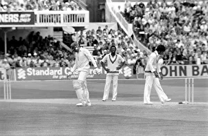 Lords Cricket Ground Fine Art Middlesex CCC & England MCC