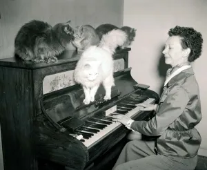 Woman Playing Piano to Cats Print, February 1954. Art Prints