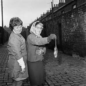Women in Middlesbrough, one of them holding a rat. 1971 Women in Middlesbrough, one of them holding a rat. 1971