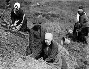 Women with scarves round their heads search a spoil heap near Manchester for fuel during Women with scarves round their heads search a spoil heap near Manchester for fuel during