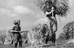 Womens Land Army girls of all ages at work in the British countryside Womens Land Army girls of all ages at work in the British countryside