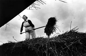 Images Dated 17th October 1982: World War Two - Second World War - Former Land Army and Timber Girls