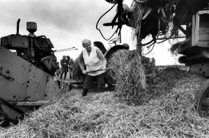 Images Dated 17th October 1982: World War Two - Second World War - Former Land Army and Timber Girls