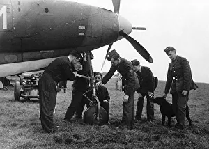 WW2 The Bell Airacobra 1941 RAF examine the wheel of tricycle WW2 The Bell Airacobra 1941 RAF examine the wheel of tricycle
