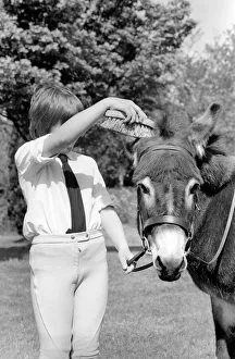 Nine year old girl with donkey at the Donkey racing championships May 1975 Nine year old girl with donkey at the Donkey racing championships May 1975
