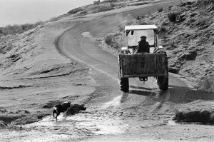 Images Dated 24th October 1982: Yorkshire Dales, North Yorkshire. Sunday 24th October 1982